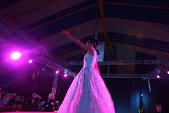 Photo 317 - Jeux inter-comités  Show Streap Tease