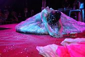 Photo 334 - Jeux inter-comités  Show Streap Tease