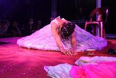 Photo 335 - Jeux inter-comités  Show Streap Tease