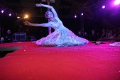 Photo 336 - Jeux inter-comités  Show Streap Tease