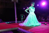 Photo 337 - Jeux inter-comités  Show Streap Tease