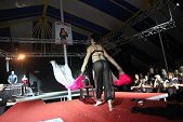 Photo 347 - Jeux inter-comités  Show Streap Tease
