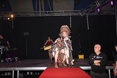 Photo 529 - Jeux inter-comités  Show Streap Tease