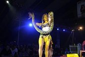 Photo 544 - Jeux inter-comités  Show Streap Tease