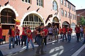 Photo 55 - Pays de galles - Belgique
