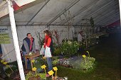 Photo 10 - Fête de la pomme