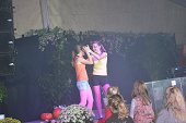 Photo 22 - Fête de la pomme