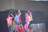 Photo 23 - Fête de la pomme