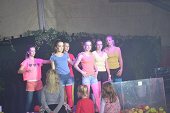 Photo 24 - Fête de la pomme