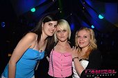 Photo 53 - FRENCH INVASION