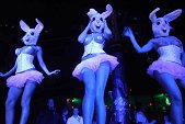 Photo 37 - BUNNIES PARTY