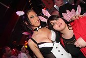 Photo 93 - BUNNIES PARTY