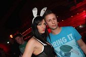 Photo 101 - BUNNIES PARTY