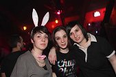 Photo 104 - BUNNIES PARTY
