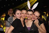 Photo 111 - BUNNIES PARTY