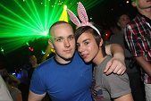 Photo 112 - BUNNIES PARTY