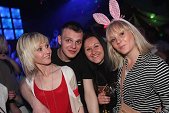 Photo 168 - BUNNIES PARTY