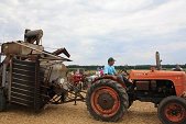 Photo 2 - Fête de la moisson
