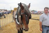 Photo 27 - Fête de la moisson