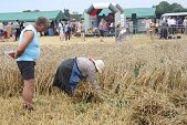 Photo 28 - Fête de la moisson