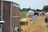 Photo 39 - Fête de la moisson