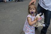 Photo 27 - Fête villageoise