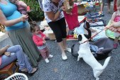 Photo 39 - Fête villageoise