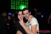 Photo 209 - BASS FUSION