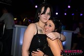 Photo 150 - CRAZY LUNETTES PARTY