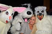 Photo 6 - TOUS A POILS