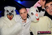 Photo 20 - TOUS A POILS