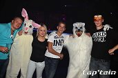 Photo 30 - TOUS A POILS