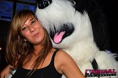 Photo 41 - TOUS A POILS