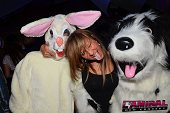 Photo 49 - TOUS A POILS