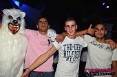 Photo 55 - TOUS A POILS