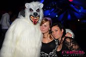 Photo 60 - TOUS A POILS