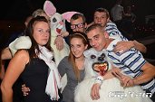 Photo 69 - TOUS A POILS