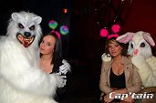Photo 104 - TOUS A POILS