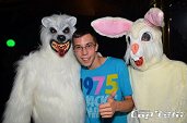 Photo 110 - TOUS A POILS