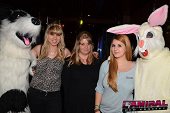 Photo 113 - TOUS A POILS