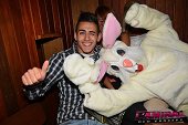Photo 114 - TOUS A POILS