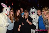 Photo 117 - TOUS A POILS
