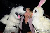 Photo 120 - TOUS A POILS