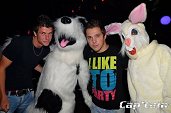 Photo 122 - TOUS A POILS