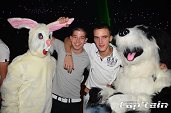 Photo 127 - TOUS A POILS