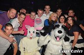 Photo 128 - TOUS A POILS