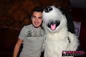 Photo 134 - TOUS A POILS
