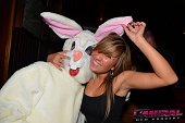 Photo 151 - TOUS A POILS