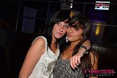 Photo 154 - TOUS A POILS