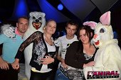 Photo 157 - TOUS A POILS